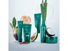 《古澤限定》《5回目迄》AVEDAヘッドスパ+AVEDAトリートメント