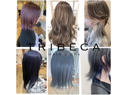 トライベッカ 新柏店(TRIBECA Hair&Spa)の写真