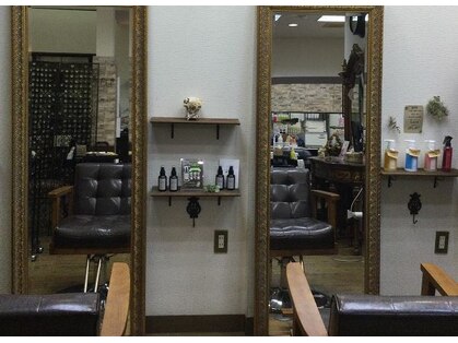 カット イン ヌーボ(cut in NOUVEAU)の写真