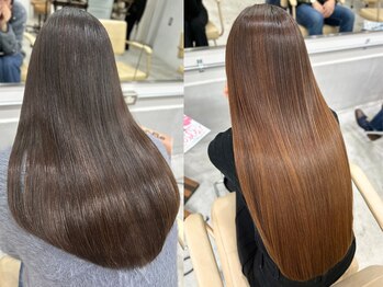 Plug 【プラグ】