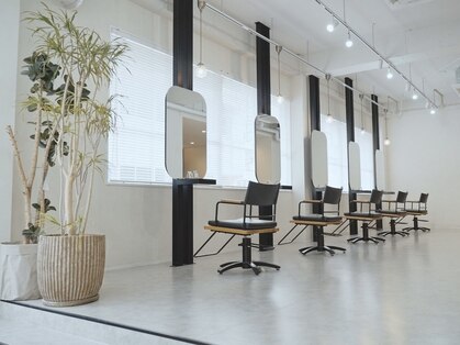 ダイアモンドリリーキートス(Diamond Lily kiitos)の写真