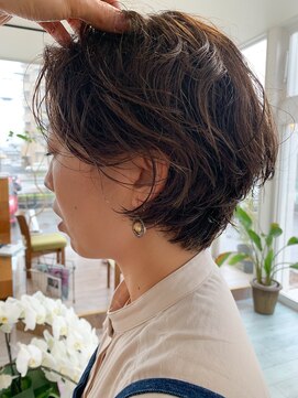 パーム スプリングス(Palm Springs) Hair by Palm Springs 295