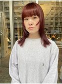 デンマークレイヤー