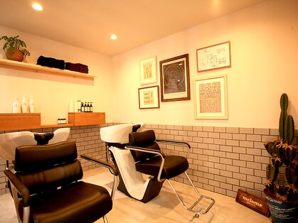 ルート(root)の写真