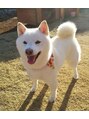 エピック(epic bace) 犬を飼ってます♪ぜひペットトークしましょう!