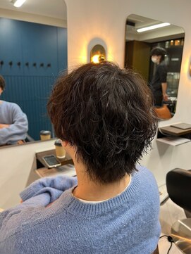 アフロディーテギンザ 神保町(APHRODITE GINZA) アッシュブラック/カルマパーマ［御茶ノ水/神保町］