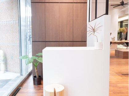 ノーマン(norman)の写真