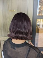 オーストヘアーベル 天王寺(Aust hair Belle) purple!