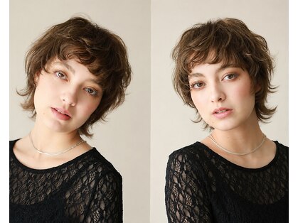 カナモ(Canamo)の写真