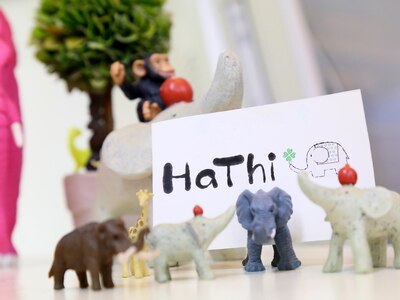 ハッティー(HaThi)