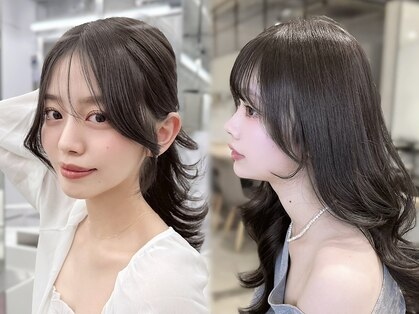 アイヴィー(IVY)の写真