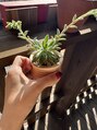 ルネ 大塚(Rune) 植物鑑賞が好きです！育てやすい植物を教えて欲しいです☆