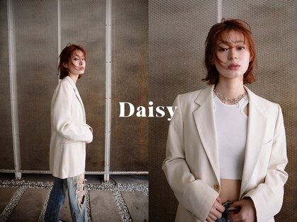 デイジー(Daisy)の写真