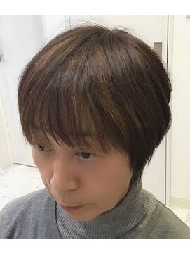 ヘアーメイク S&I ハイライトカラー/ミセスショート