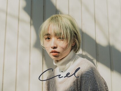 シエル(Ciel)の写真
