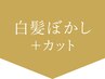 ↓↓ここから白髪ぼかしメニュー↓↓【押さないでください】