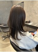 ミディアムレイヤー