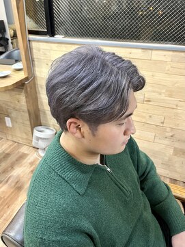 プランツヘアー 中明度シルバー