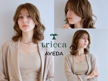 トリッカアヴェダ(tricca AVEDA)