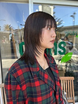 アントルポ(entrepot) dark brown