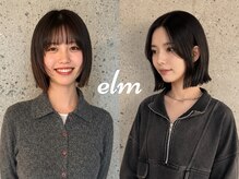 エルム(elm)