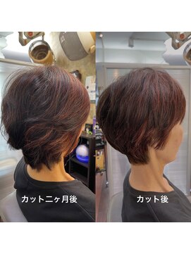 アンヌ キュビズムカット ブローレススタイル