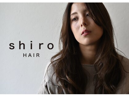 シロヘアー(shiro hair)の写真