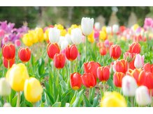 とあのスパは腕と手のひらまで揉みほぐす◎最高の癒しをお届け★