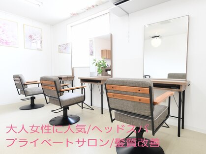 クリップ(CLIP)の写真