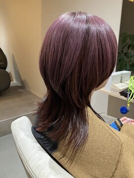 本と南風 guest design