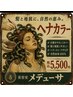 自然由来のヘナカラー　　カラーのみ