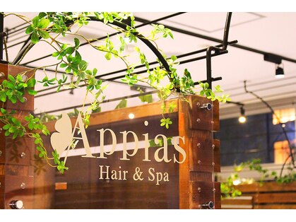 アッピアス 海老名(Appias)の写真