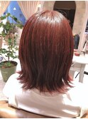【ASTRANTIA】カシスレッド