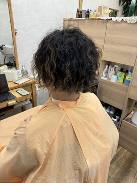 ガーベラ(gerbera) スクリュースパイラル