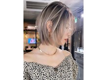 シェルヴ(XELVE)