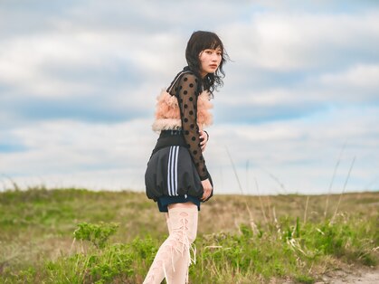 シカ(sica)の写真