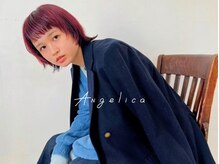 アンジェリカ(Angelica)