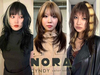 ノラ シンディ(NORA CYNDY)の写真