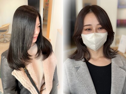 リノ(Lino)の写真