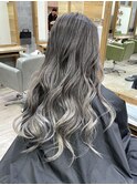 シルバーバレイヤージュ