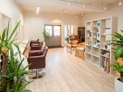 ソエル(soel)の写真