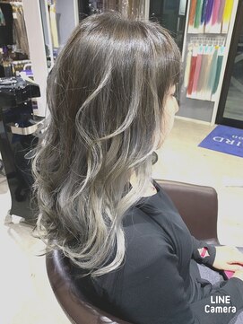 ブルー バード(BLUE BIRD) 労わりバレさん