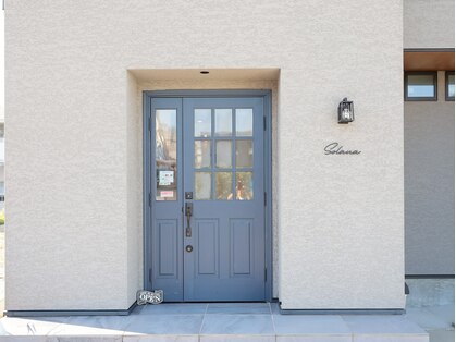 ソラナ(Solana)の写真