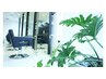 【来店2回目ネット予約】カット＋リタッチ＋アエラトリートメント￥12,330