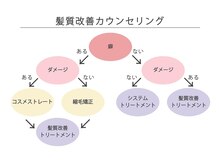 【自分の髪に合ったメニュー】が分かる一覧表♪どの施術をしていけば美髪になれるかの事前カウンセリング★