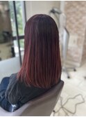 ボルドールビー×ロングレイヤー