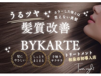 ツインエイト(Twin eight)の写真