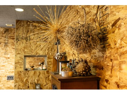 モンシュシュの写真