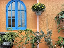 コキリ(kokiri)の雰囲気(オレンジ色が目印です♪)