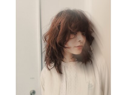ダコタエバンス(dakota Evans)の写真